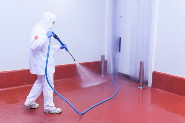 Reliable Thoreau, NM Pressure Washing Solutions