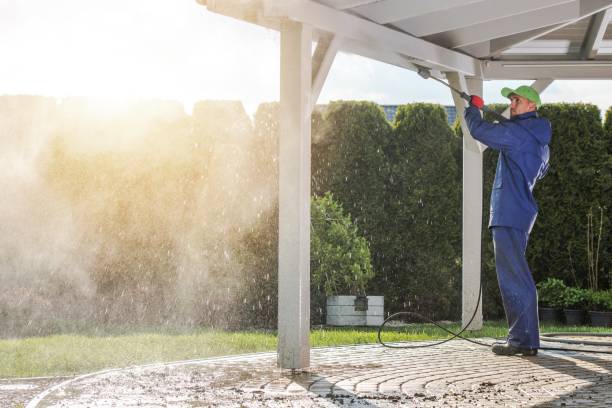 Best Pool Deck Cleaning  in Thoreau, NM